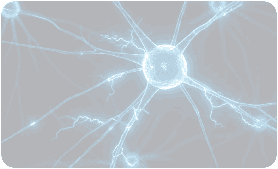 Intelligence Platform