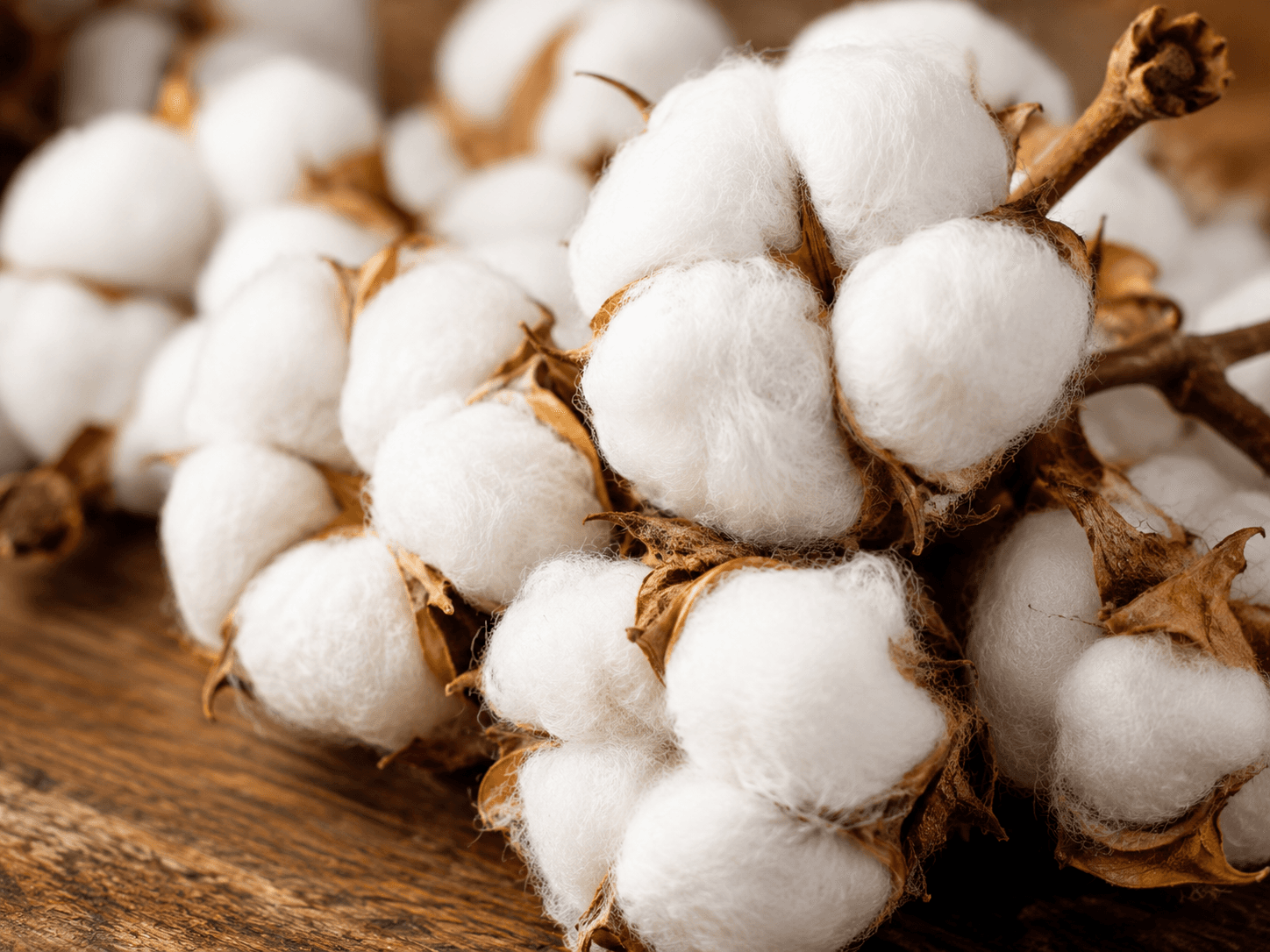 Cotton